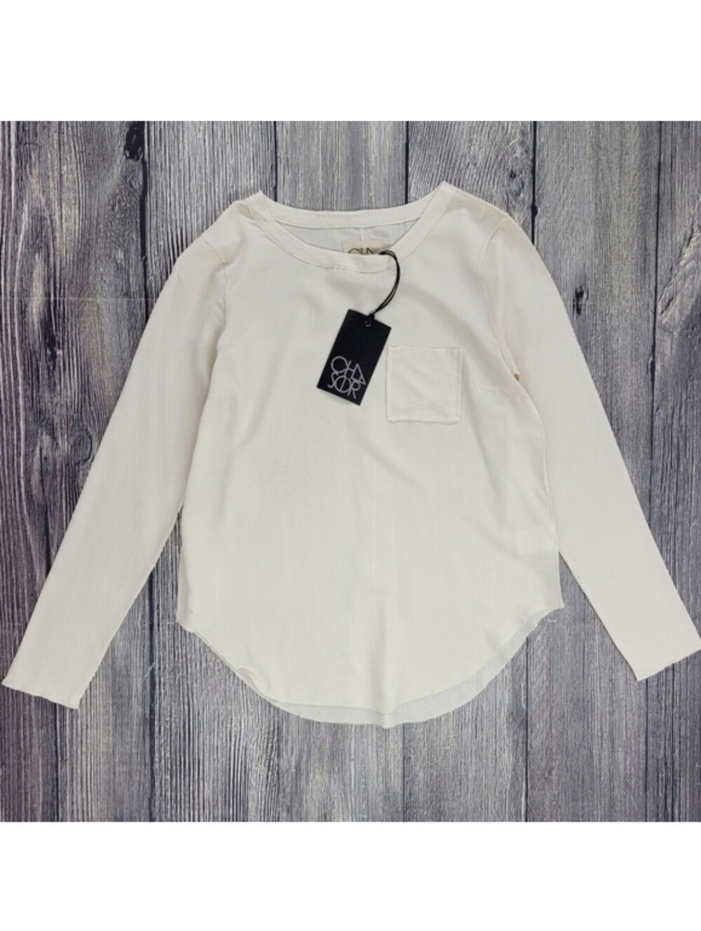 Chaser NWT Semi Sheer Silk Blouse